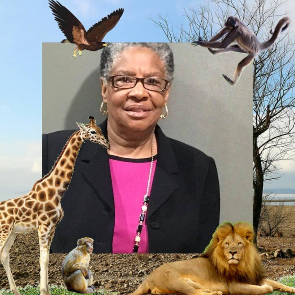 Meet your Posher, Mozella